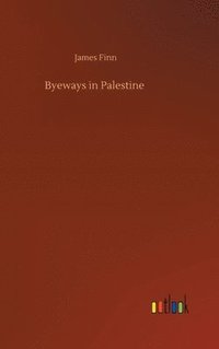 bokomslag Byeways in Palestine