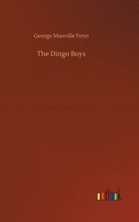 bokomslag Dingo Boys