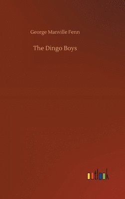 bokomslag Dingo Boys