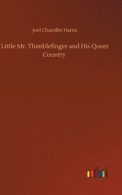 bokomslag Little Mr. Thimblefinger and His Queer Country