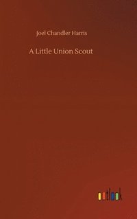 bokomslag A Little Union Scout