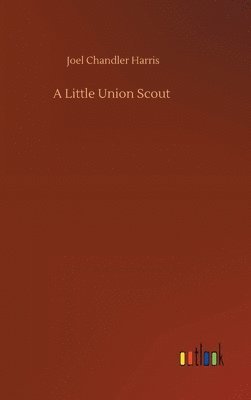 bokomslag Little Union Scout