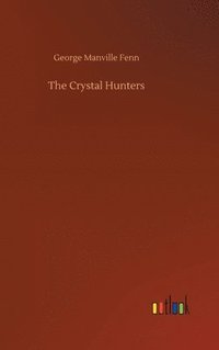 bokomslag Crystal Hunters