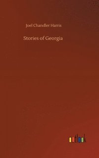 bokomslag Stories of Georgia