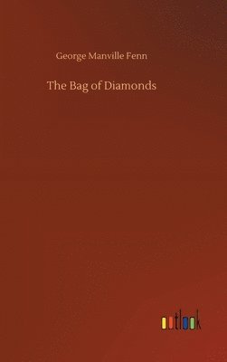 bokomslag Bag of Diamonds