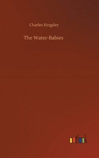 bokomslag The Water-Babies