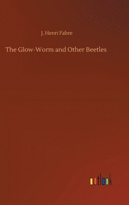 The Glow-Worm and Other Beetles 1