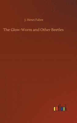 Glow-Worm and Other Beetles
