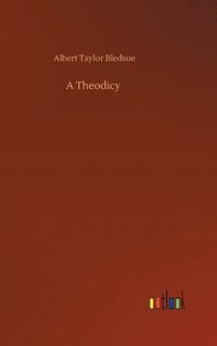 bokomslag A Theodicy