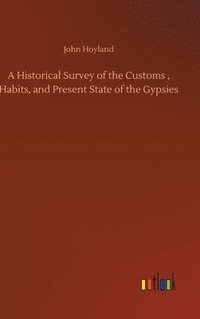 bokomslag A Historical Survey of the Customs, Habits, and Present State of the Gypsies