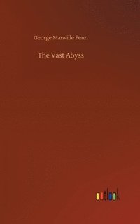 bokomslag Vast Abyss