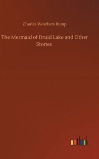 bokomslag The Mermaid of Druid Lake and Other Stories