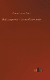 bokomslag Dangerous Classes of New York