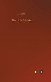bokomslag Little Minister