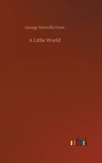 bokomslag Little World