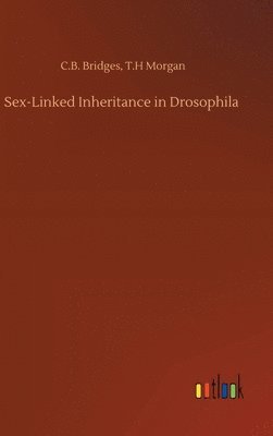 bokomslag Sex-Linked Inheritance in Drosophila