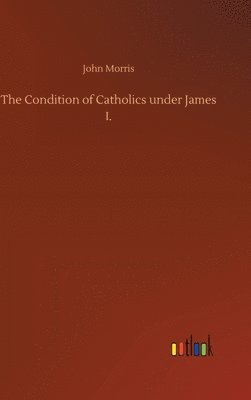 bokomslag The Condition of Catholics under James I.