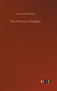 bokomslag The Princess of Bagdad