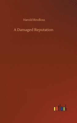 bokomslag Damaged Reputation