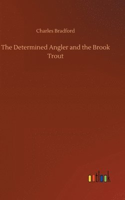 Determined Angler and the Brook Trout
