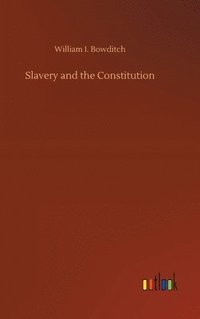 bokomslag Slavery and the Constitution