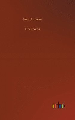 bokomslag Unicorns