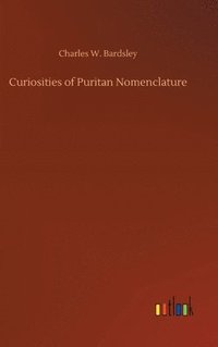 bokomslag Curiosities of Puritan Nomenclature