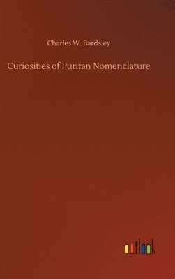 bokomslag Curiosities of Puritan Nomenclature