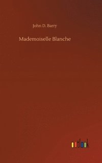 bokomslag Mademoiselle Blanche