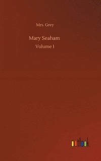 bokomslag Mary Seaham