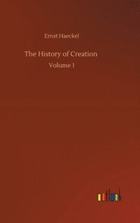 bokomslag The History of Creation