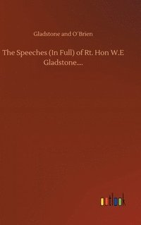 bokomslag The Speeches (In Full) of Rt. Hon W.E Gladstone....