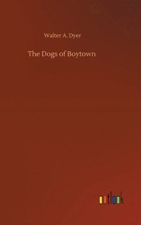 bokomslag The Dogs of Boytown