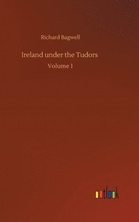 bokomslag Ireland under the Tudors