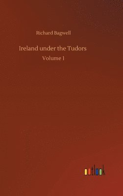 bokomslag Ireland under the Tudors