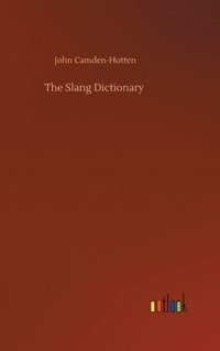 bokomslag The Slang Dictionary