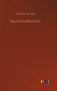 bokomslag Beyond the Black River