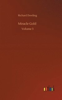 bokomslag Miracle Gold