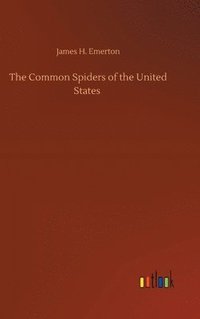 bokomslag The Common Spiders of the United States