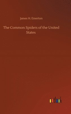 The Common Spiders of the United States 1