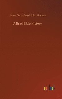 bokomslag A Brief Bible History