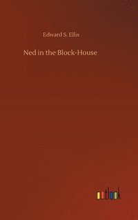 bokomslag Ned in the Block-House