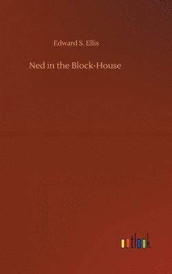 bokomslag Ned in the Block-House