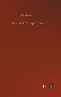 bokomslag Gorillas & Chimpanzees