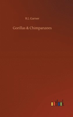 bokomslag Gorillas & Chimpanzees