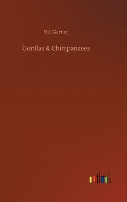 Gorillas & Chimpanzees