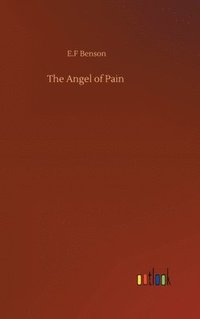 bokomslag Angel of Pain