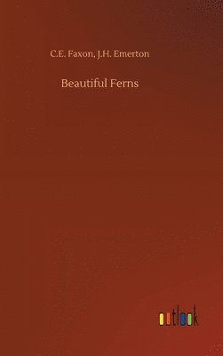 Beautiful Ferns 1