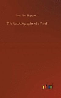 bokomslag Autobiography of a Thief