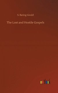 bokomslag The Lost and Hostile Gospels